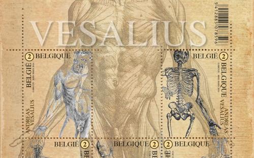 22 april: Andreas Vesalius - Het volledige vel
