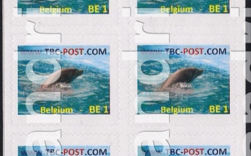 14 mei: BE-1: Dolfijn (vel van 10)