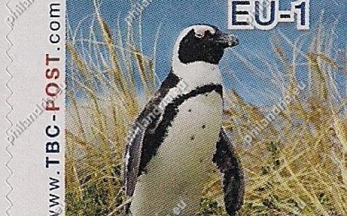 7 augustus: EU-1: Zwartvoetpinguïn (in het gras)