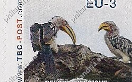 20 november: EU-3: Ethiopische geelsnaveltok (op tak)