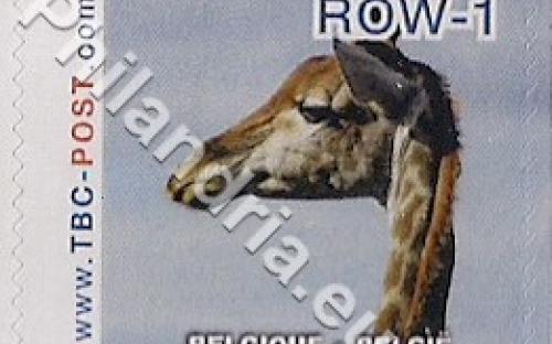18 februari: ROW-1: Giraf 7