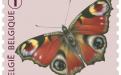 6 oktober: Vlinders van M.Meersman, Dagpauwoog (Rolzegel)