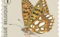 6 oktober: Vlinders van M.Meersman, Kleine Parelmoervlinder (Rolzegel)