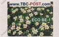 ECO BE-1 (€0.63) - Keukenhof, Tulipa Cretia