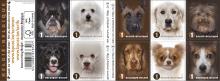 postzegelboekje Hondenrassen naderbij