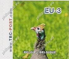 België - TBC-Post, Zuid-Afrikaanse vogels